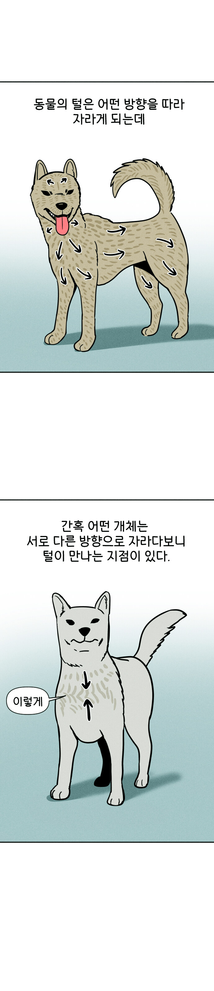 개털 특이한 점_4.jpg
