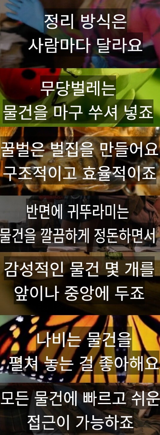 디플 드라마 추천과 Clutterbug 분류법_2.jpg