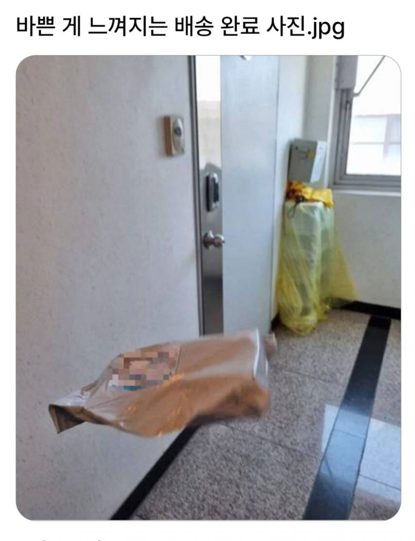 바쁜게 느껴지는 배송 완료 사진.jpg_1.jpg