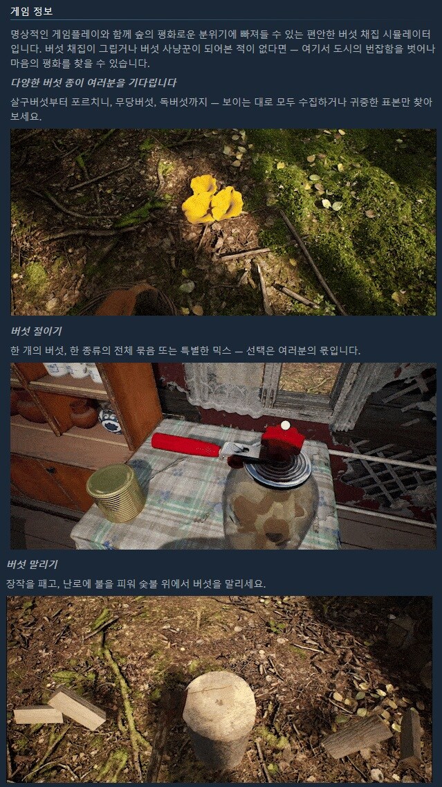 버섯 채집 시뮬레이터 "머쉬룸 헌터 시뮬레이터" 트레일러_3.jpg