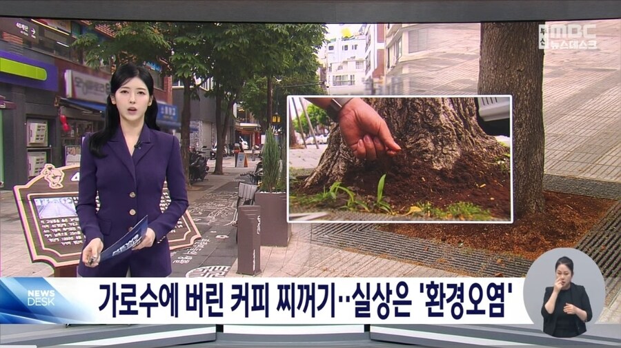 가로수에 버린 커피 찌꺼기..실상은 ′환경 오염′