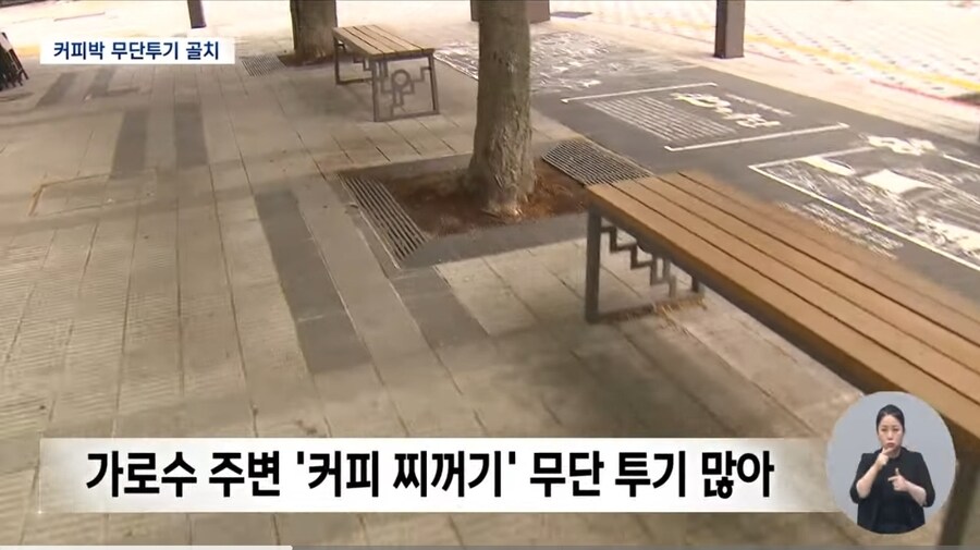 가로수에 버린 커피 찌꺼기..실상은 ′환경 오염′_2.jpg