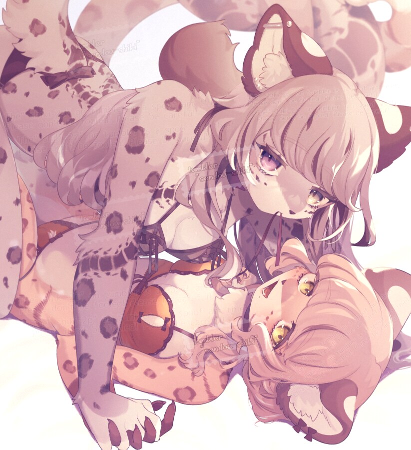 퍼리퍼리야_2.png