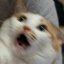 와 유게하는데 갑자기 야동만 나오길래 유게 해킹당한줄 알았음_1.jpg