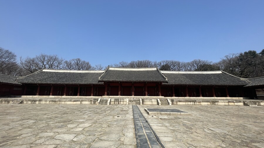뒤죽박죽 음식사진과 풍경사진_28.jpg