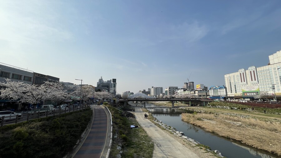 뒤죽박죽 음식사진과 풍경사진_45.jpg