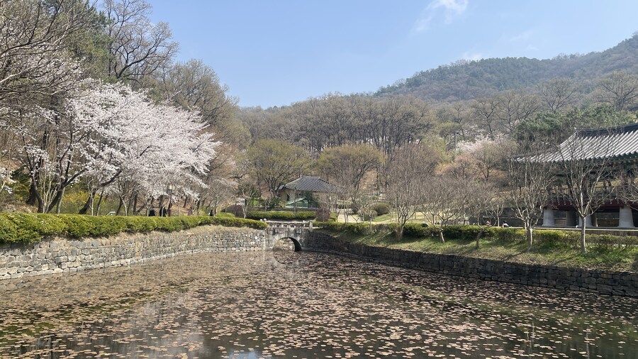뒤죽박죽 음식사진과 풍경사진_50.jpg