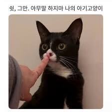 유게 씹어먹는 국내 최대 규모의 영화 커뮤니티_3.jpg