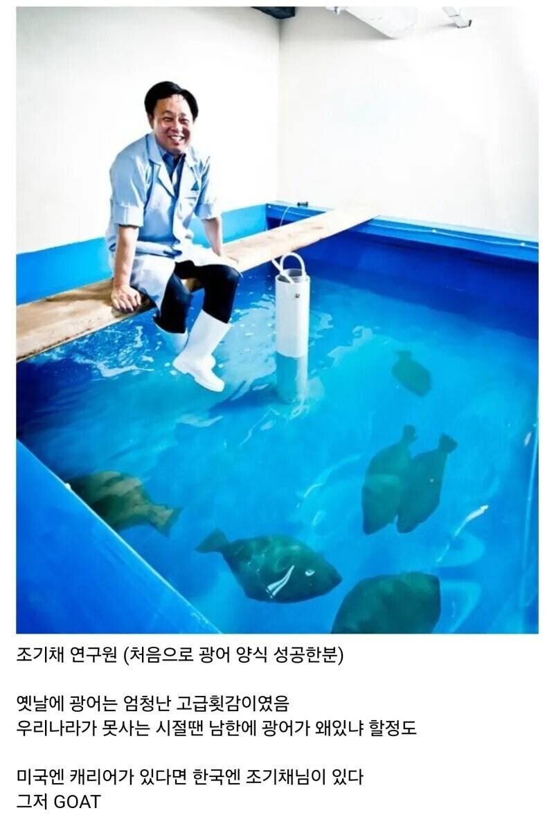 캐리어 급으로 인정받아야할 선생님
