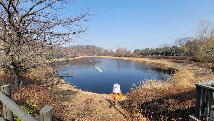 3월달 서서울호수공원 탐조_15.jpg