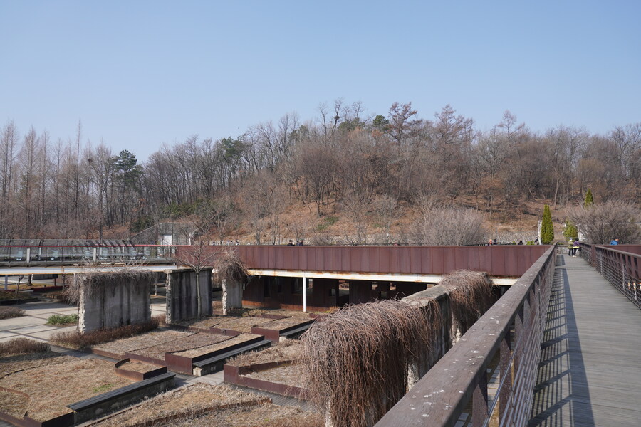 3월달 서서울호수공원 탐조_18.jpg