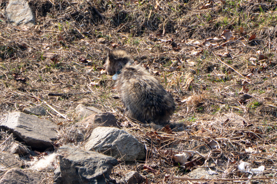 3월달 서서울호수공원 탐조_24.jpg