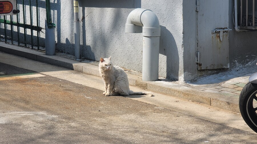 3월달 서서울호수공원 탐조_26.jpg