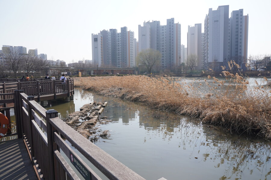 3월달 서서울호수공원 탐조_42.jpg