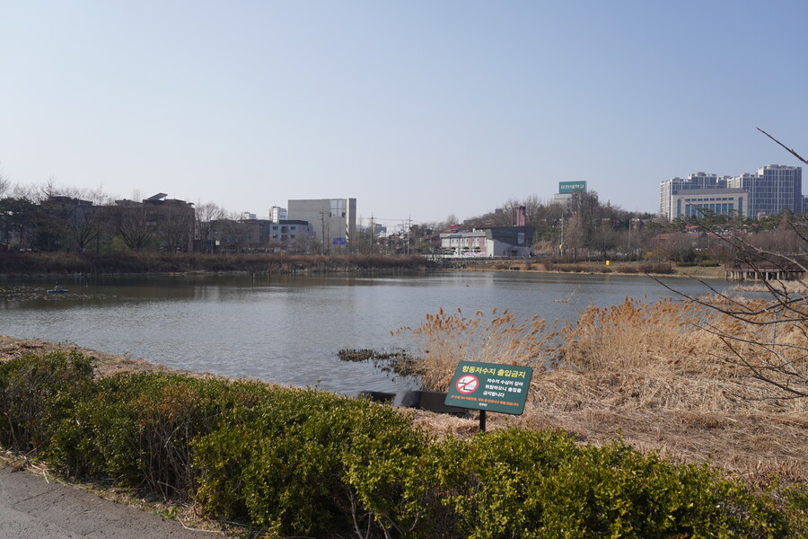 3월달 서서울호수공원 탐조_46.jpg