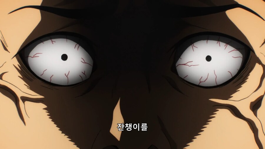 [원피스 외]강자들이 승진할 수 있는데도 안 하는 이유(스포)_11.png