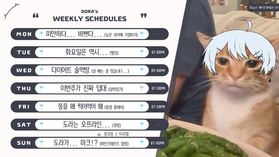 도라대장님 스케쥴 표 (5.26 - 6.1)_1.png