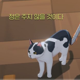 어느 게임의 떼걸룩 이름_1.jpg