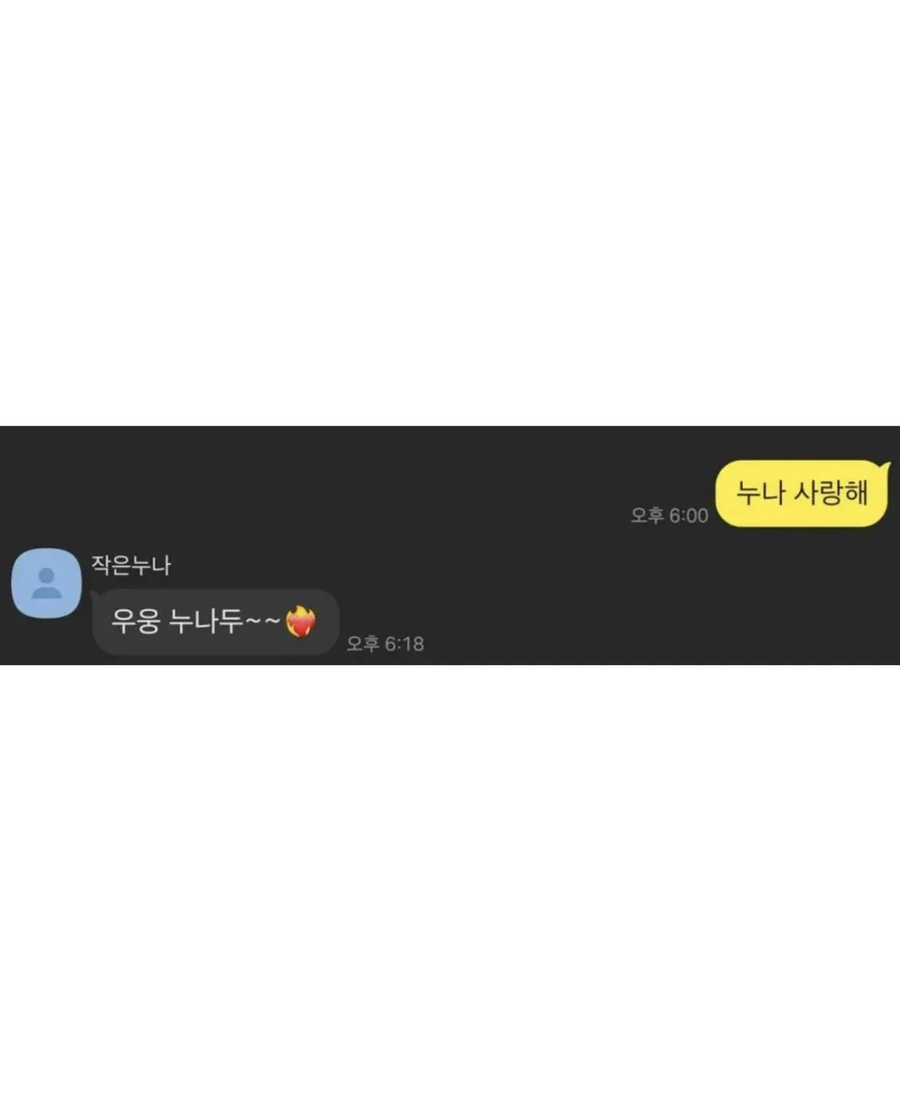 누나와 형의 차이_2.webp