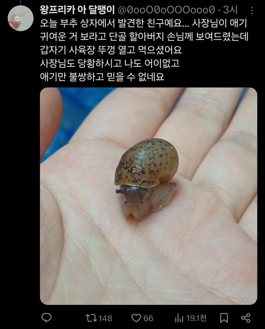 손님에게 귀엽다고 보여드렸더니 먹어버렸어요._5.jpg