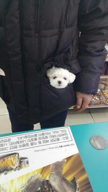 편돌이를 죽이는 외투_1.jpg