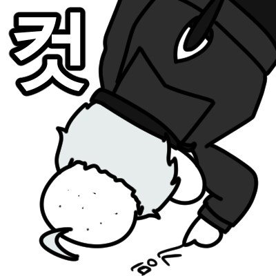 버튜버) 도라대장 반캠 확정_2.png