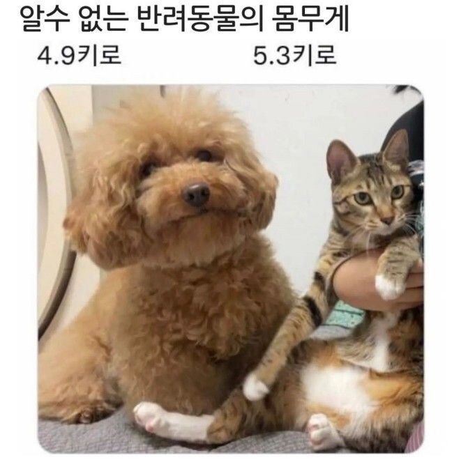 신비한 몸무게의 세계_1.jpg