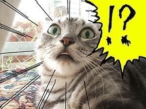 창세기전) 모바일 이너 월드 스토리 - 두 여신의 이야기 - (스압) (스포)_113.jpg