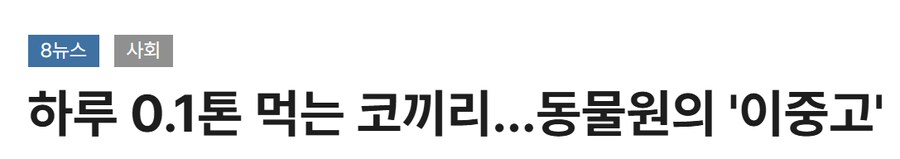 ???:이준석 코끼리 발언은 좀 심한것 같다_1.png