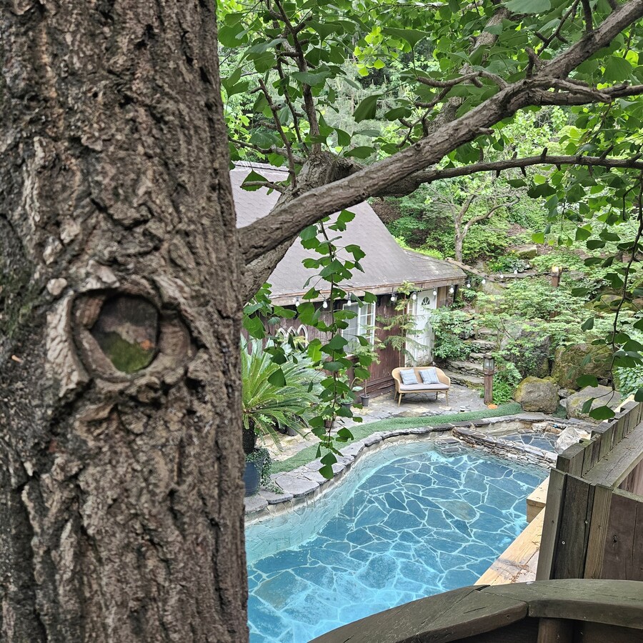 친구 아빠가 만든 트리하우스 ㄷㄷ.jpg_4.jpg