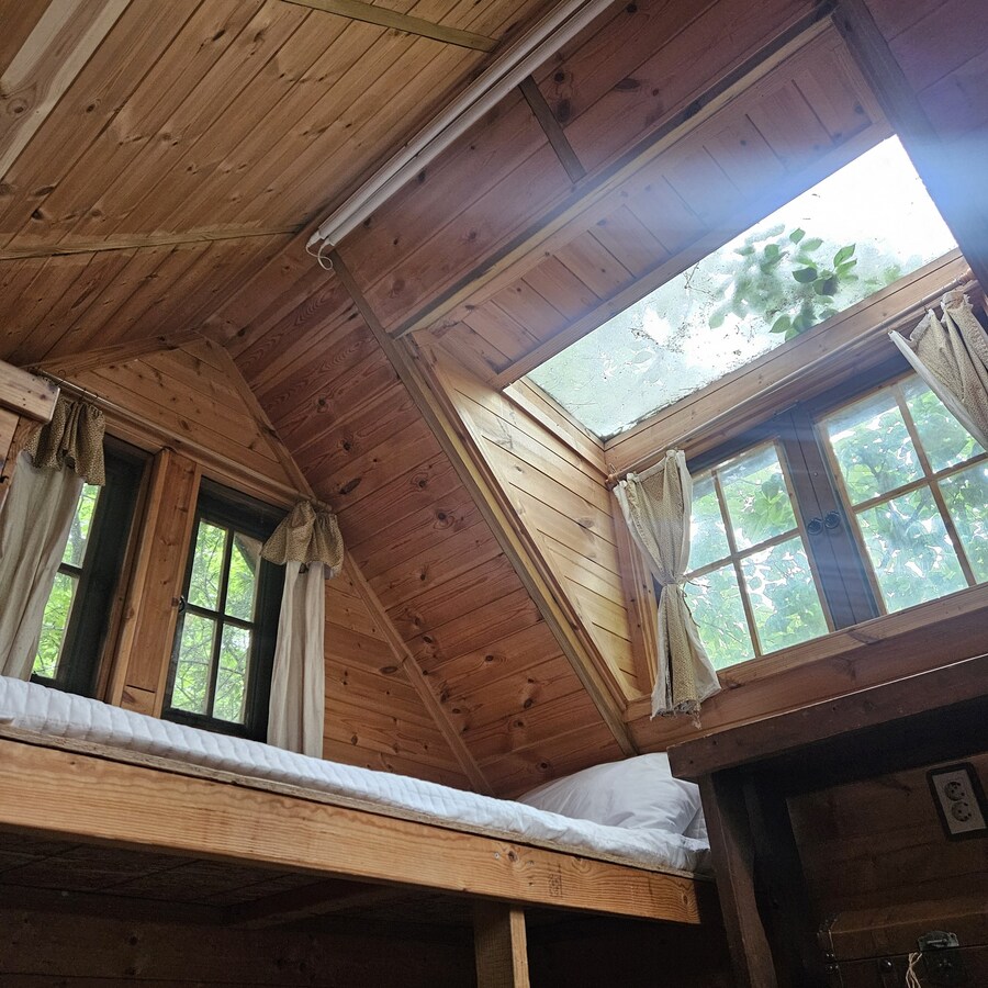 친구 아빠가 만든 트리하우스 ㄷㄷ.jpg_7.jpg