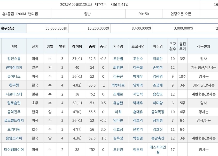 K-경마, 말딸) 한국에 최초로 도입된 코파노 리키의 자마, 이번 주에 데뷔_3.jpg