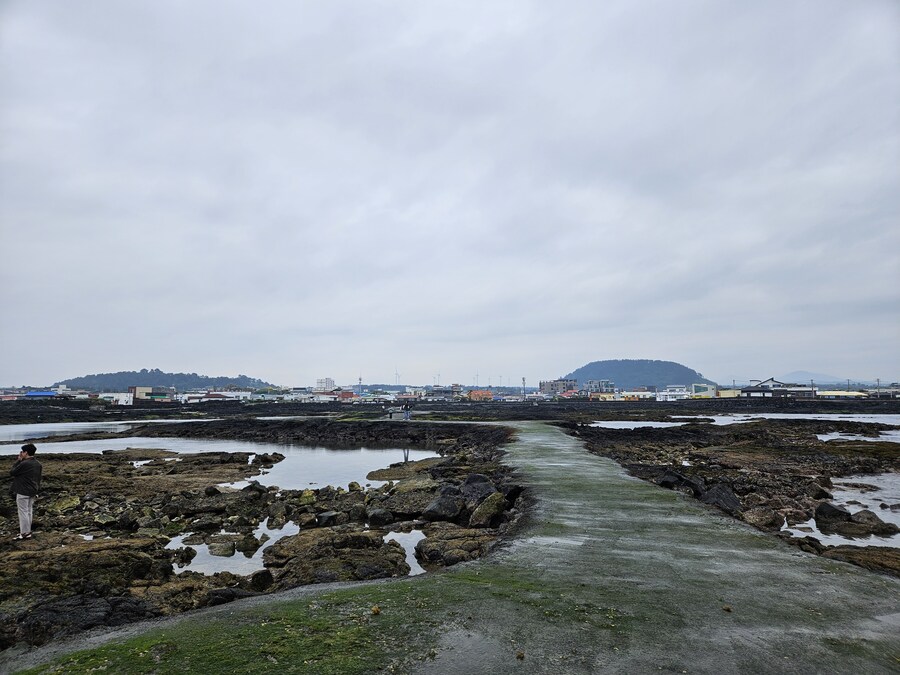 제주도 여행 2편_41.jpg