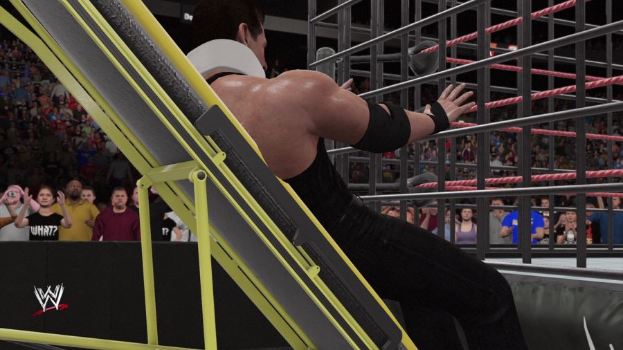 WWE 2K16_26.jpg