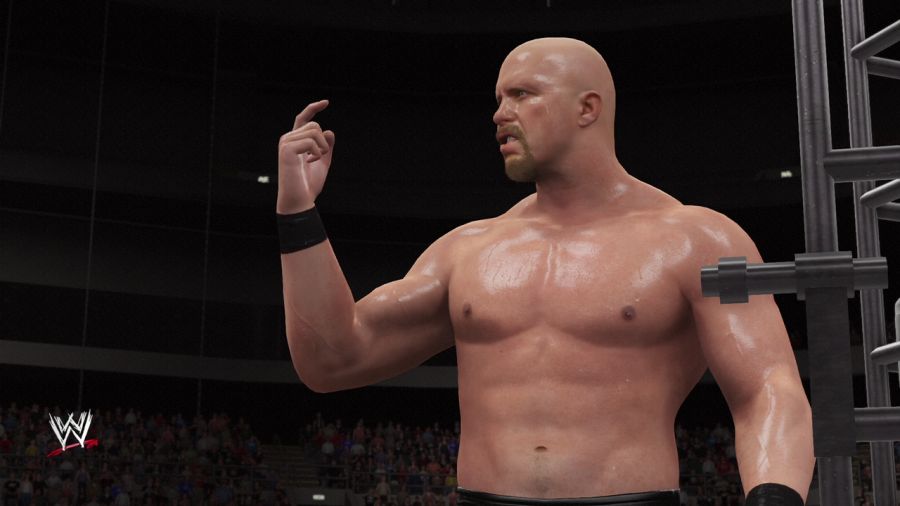 WWE 2K16_39.jpg