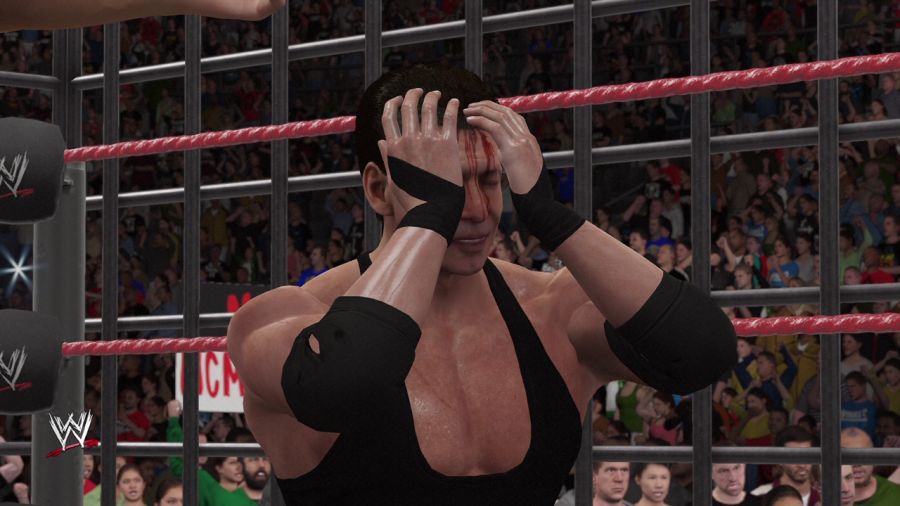 WWE 2K16_59.jpg