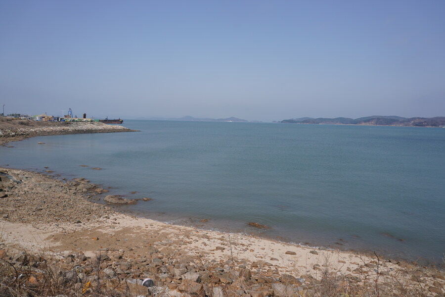 4월, 영종도 탐조_19.jpg