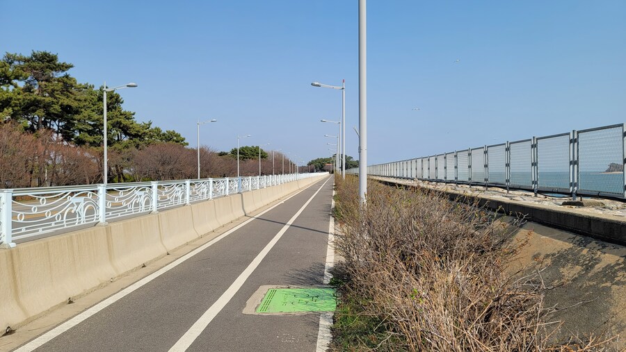 4월, 영종도 탐조_70.jpg