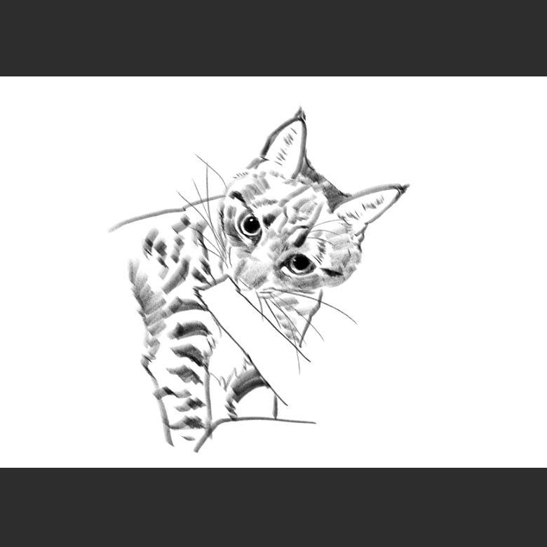 우리집 고양이그림 보고가셈_8.png