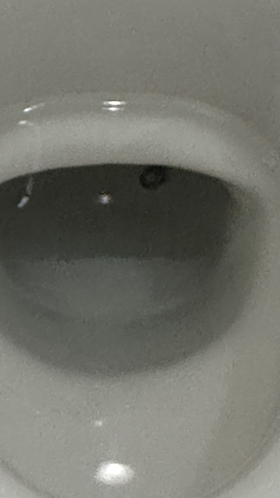니네들 휴대폰이 변기보다 더러운거 알고있냐?_1.jpg