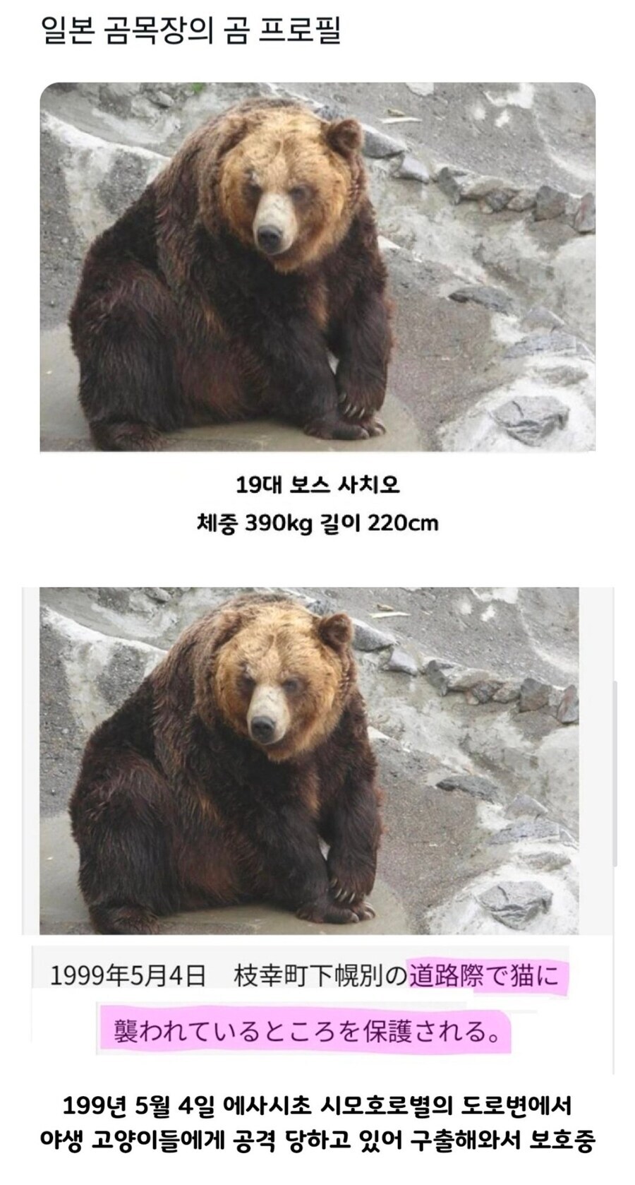 여러분이 잘 모르시는 것 같은데 1:17로 싸워 이기기 쉽지 않아요_1.jpg