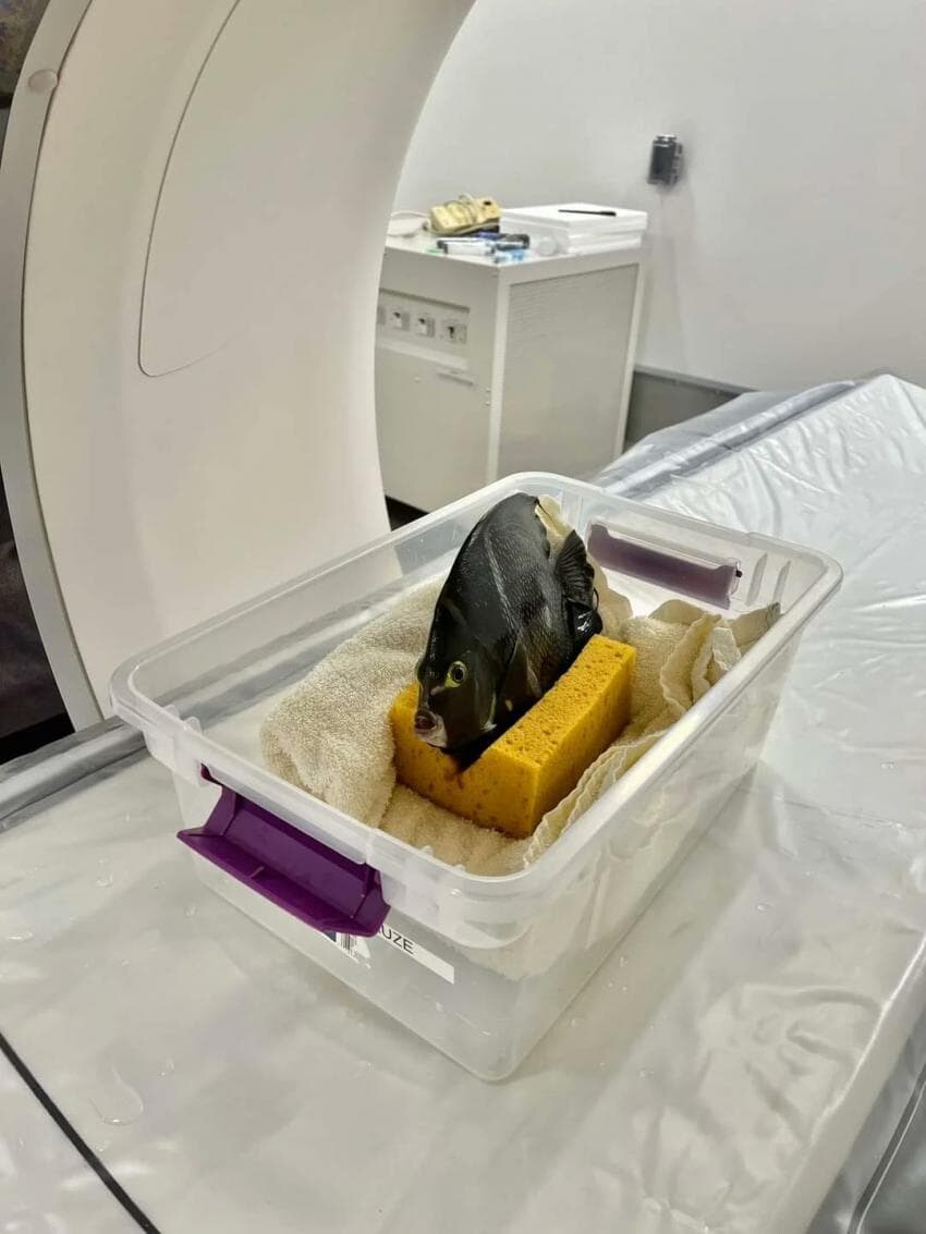 동물들 검사하는 모습_28.jpg