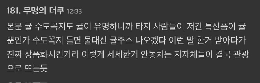 한국인 여행객들 제발 좀 와달라고 엄청 필사적이라는 일본 시골 소도시_2.jpg