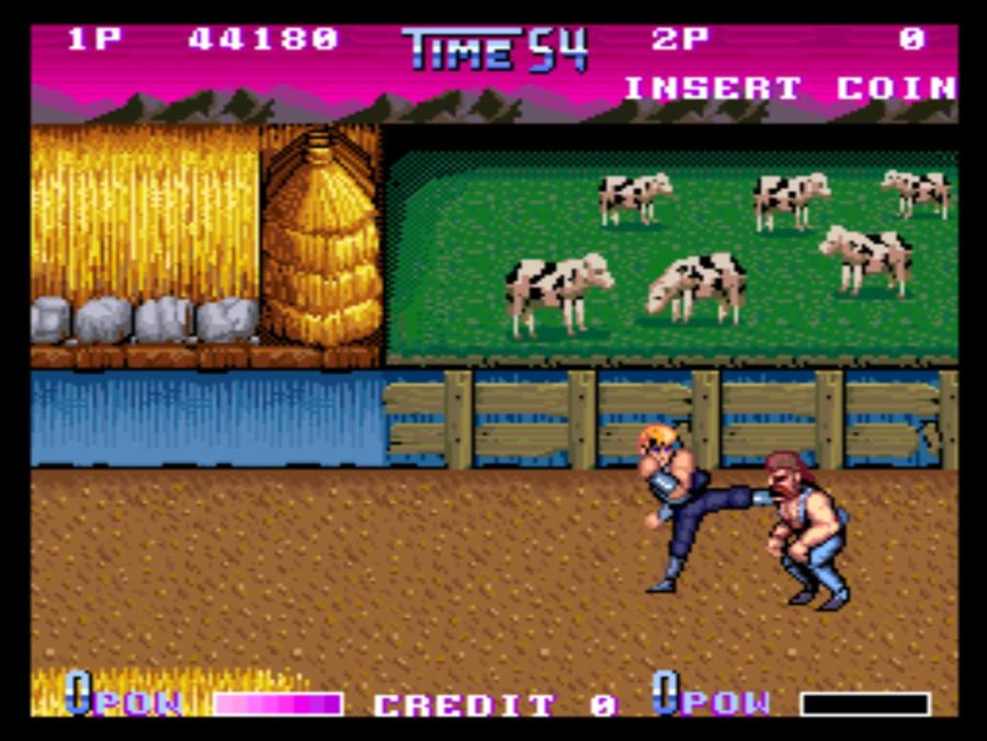 DOUBLE DRAGON 2 THE REVENGE_28.jpg