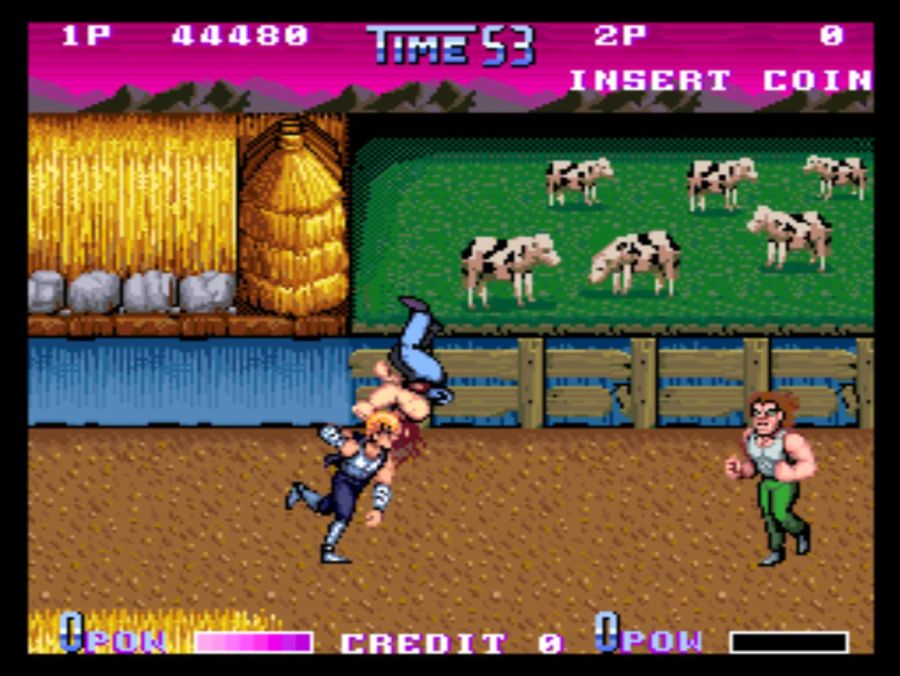 DOUBLE DRAGON 2 THE REVENGE_29.jpg