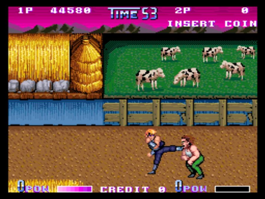 DOUBLE DRAGON 2 THE REVENGE_30.jpg