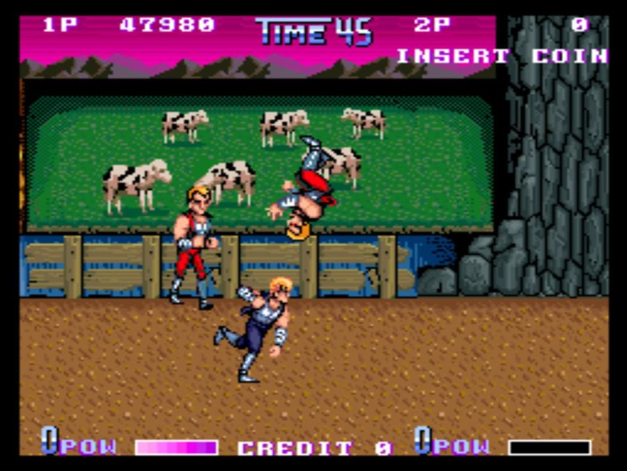 DOUBLE DRAGON 2 THE REVENGE_34.jpg