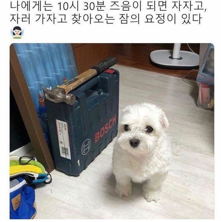 10시반 수면요정.jpg_1.jpg