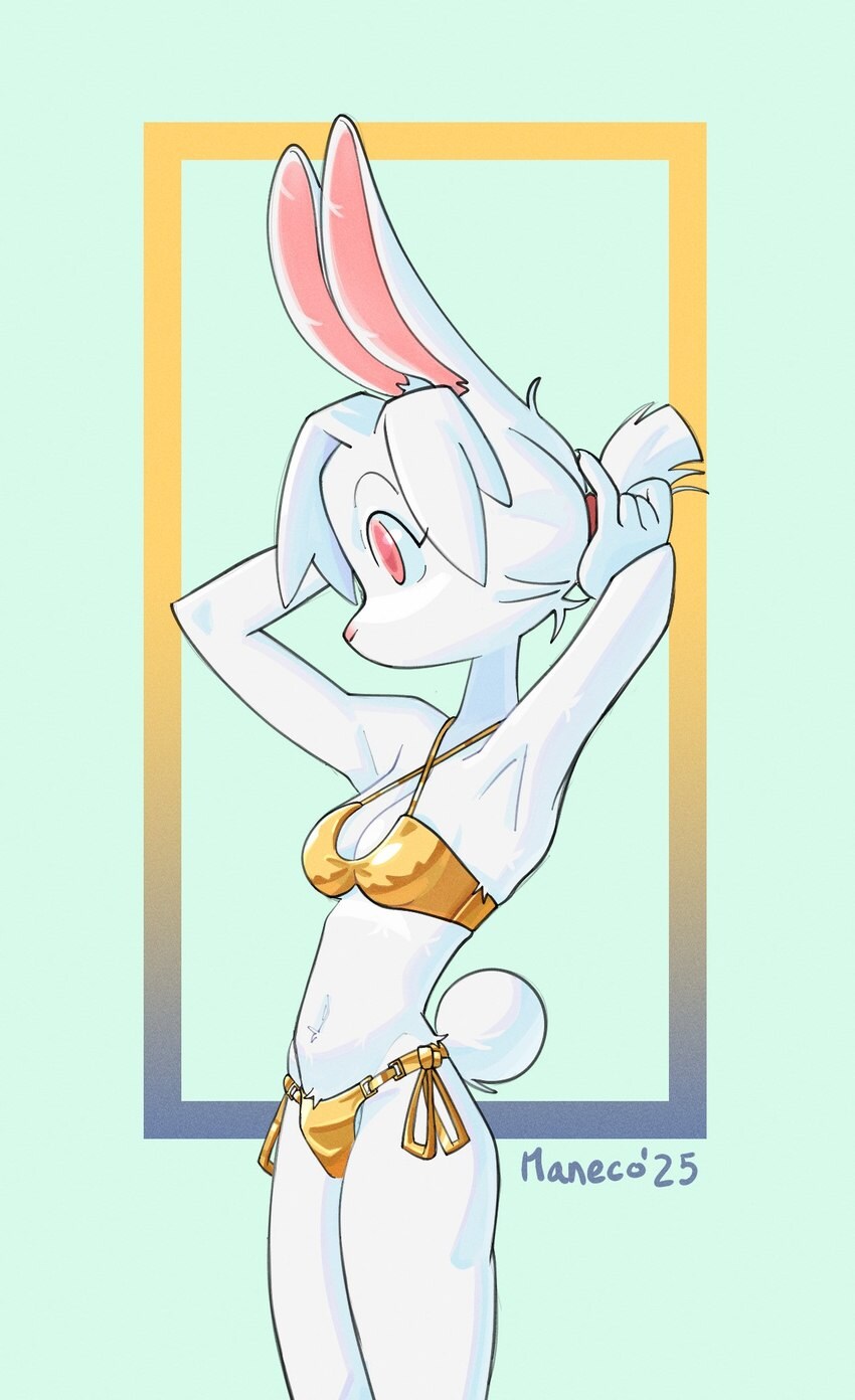 퍼리_7.jpg