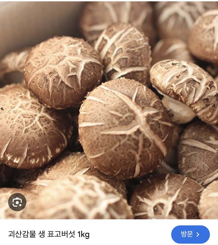 (버섯) 자연산송이 보다 맛있는데 10배는 저렴한 전설의 버섯.JPG_1.jpg